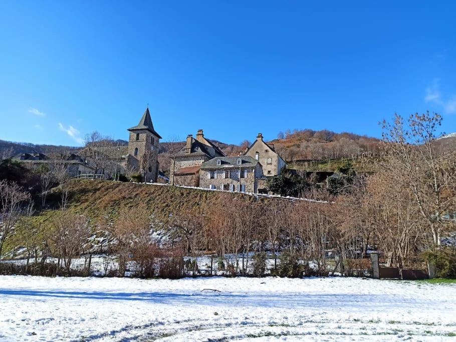 Maison Familiale Et Authentique Saint-Jacques-des-Blats Extérieur photo