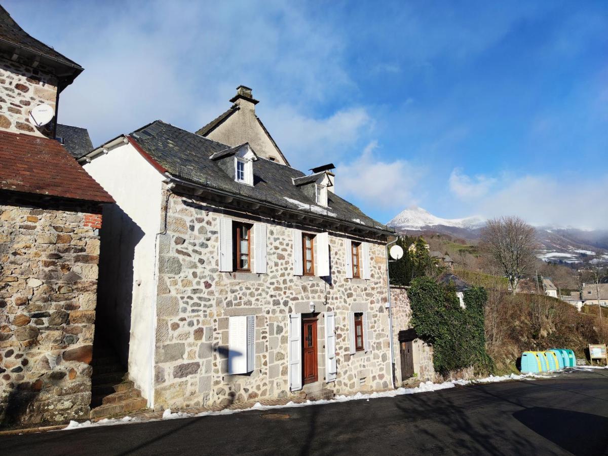 Maison Familiale Et Authentique Saint-Jacques-des-Blats Extérieur photo